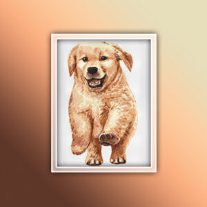 Golden Retriever Puppy