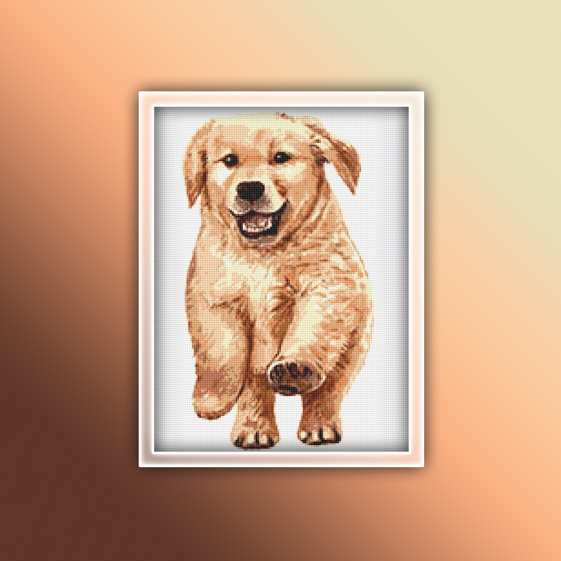 Preview 2020 Golden Retriever Puppy