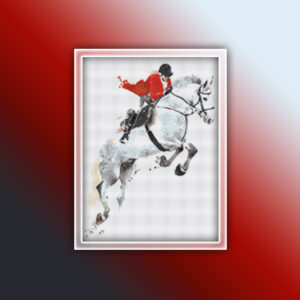 Horse Show Jumping 1