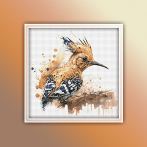 Hoopoe 1