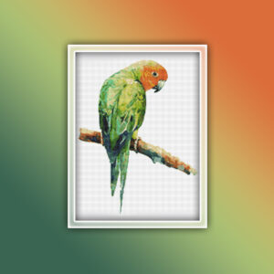 Green Parrot 1