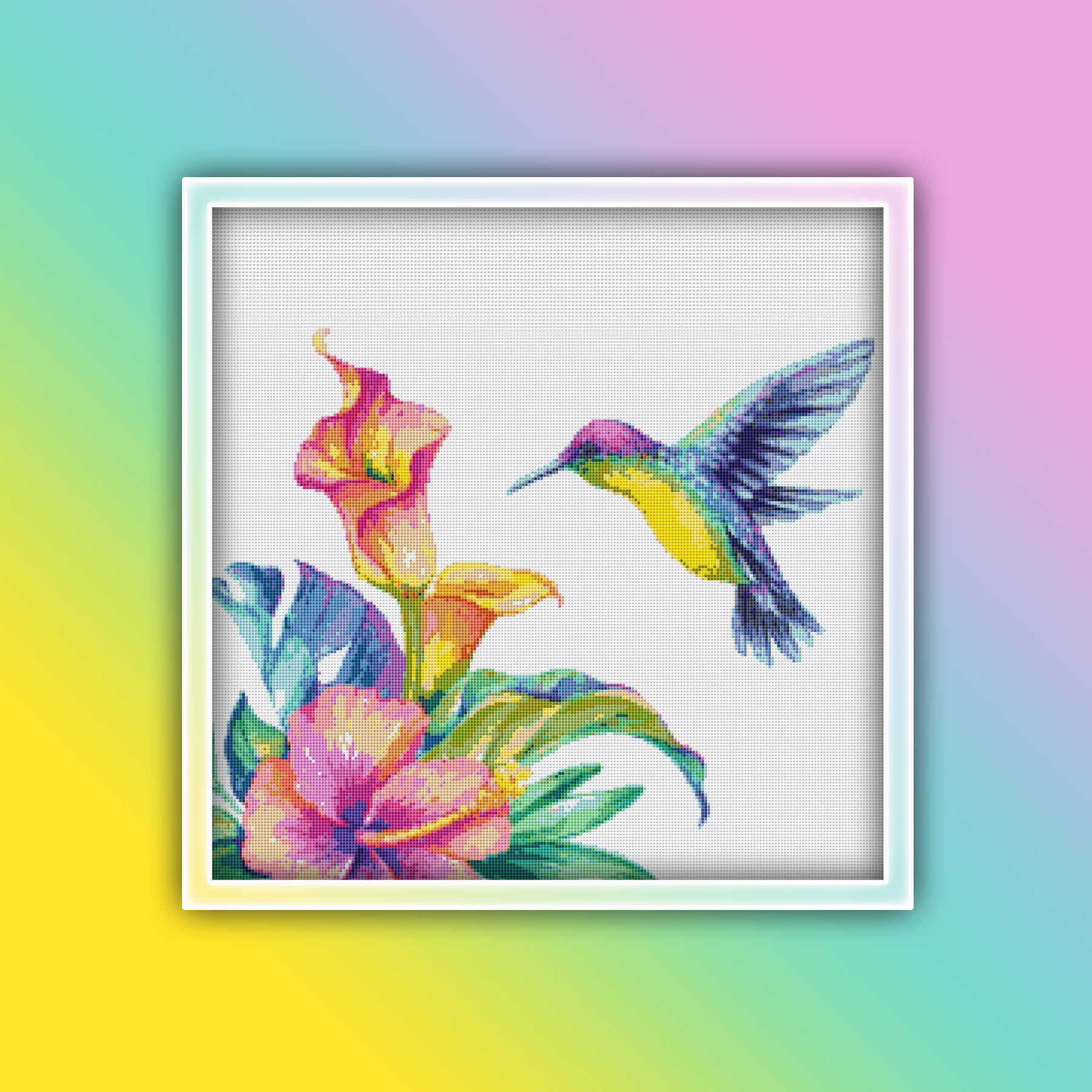 Preview 2020 Hummingbird 21