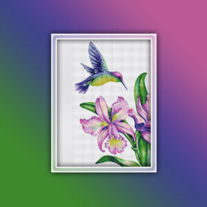 Hummingbird 1
