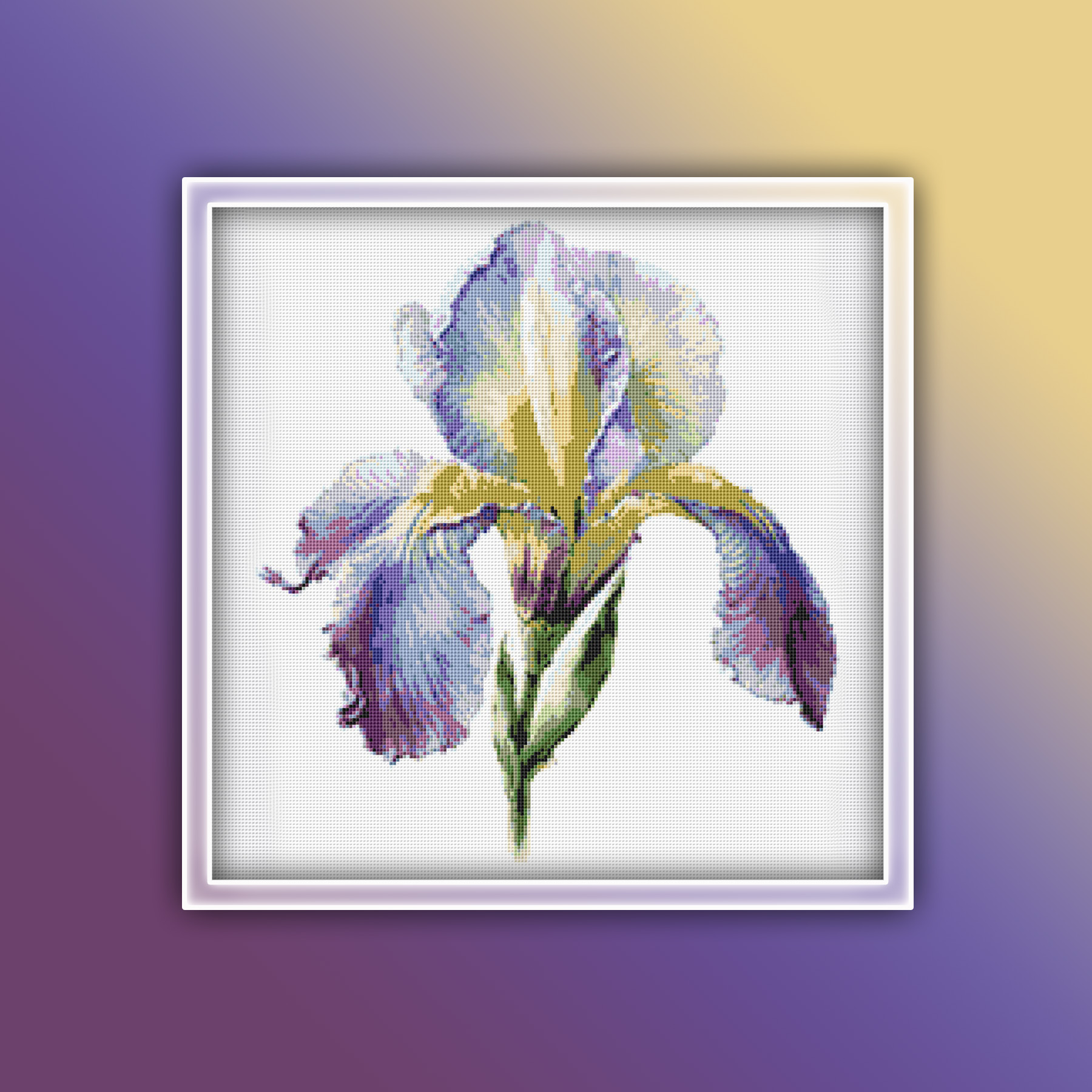 Preview 2020 copy Iris Flower 3
