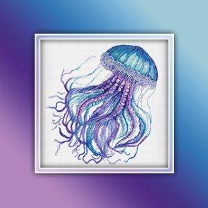 Jellyfish 1