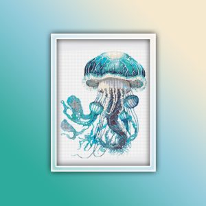 Jellyfish 10