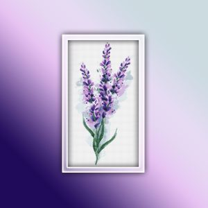 Lavender 6