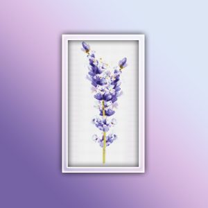 Lavender 9