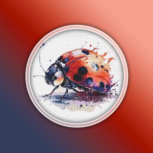 Ladybug 1