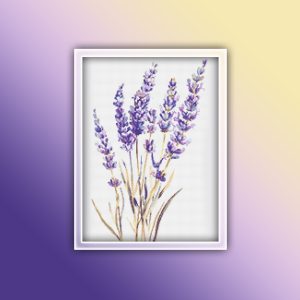 Lavender 2